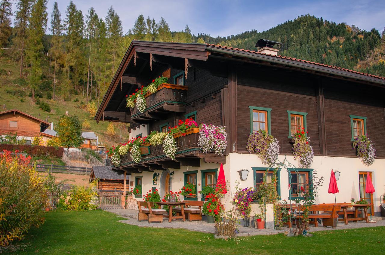 Apartmán Brotzeitalm Pfarrwerfen Exteriér fotografie